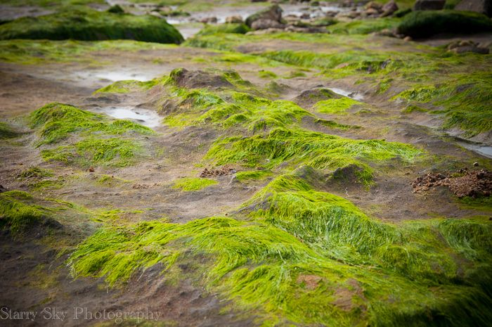 Jun 2013 hunstanton web-9