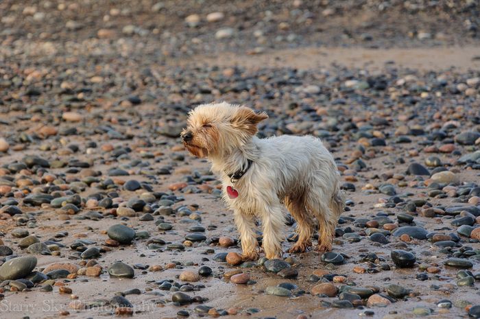 coastal hike 2 web-4