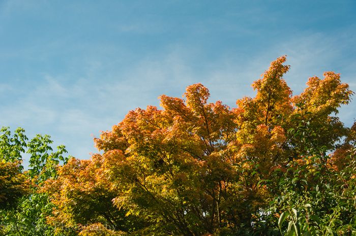 Sept 2013 nature web-2-2