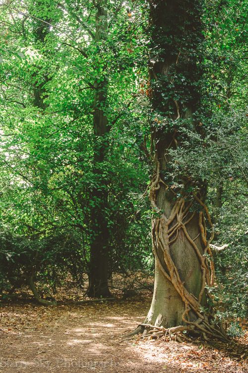 Sept 2013 nature web-3