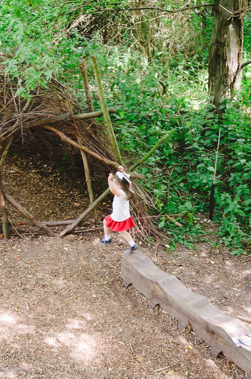 Sept 2013 nature web-15