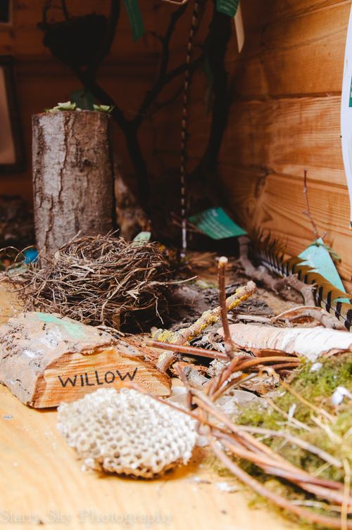 Sept 2013 nature web-12