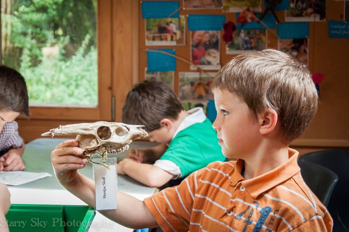 Sept 2013 nature web-11