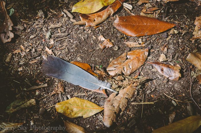 Sept 2013 nature web