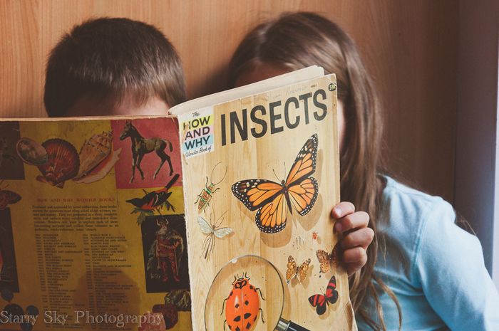 Sept 2013 butterfly web-3