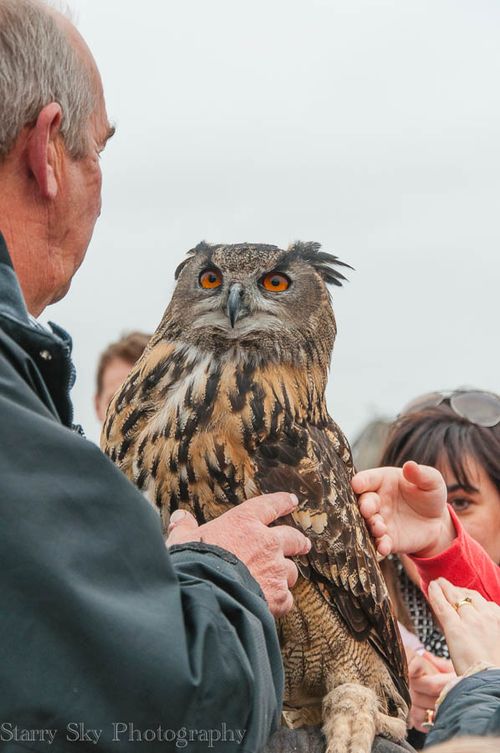 Sept 2013 fire web-9