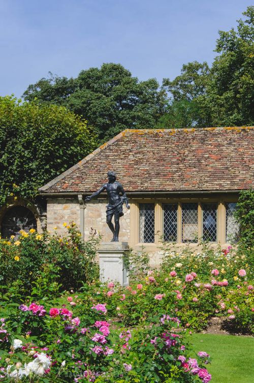 Sept 2013 anglesle roses web