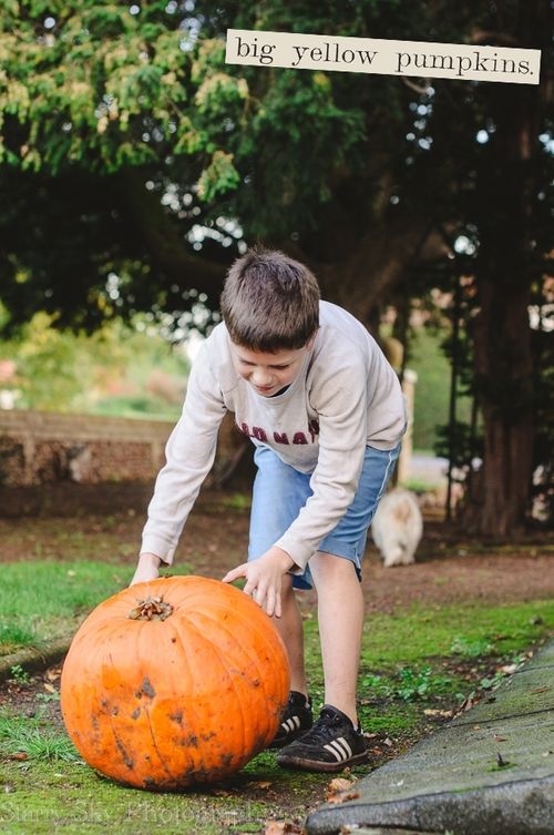 Oct 2013 pumpkins web-3