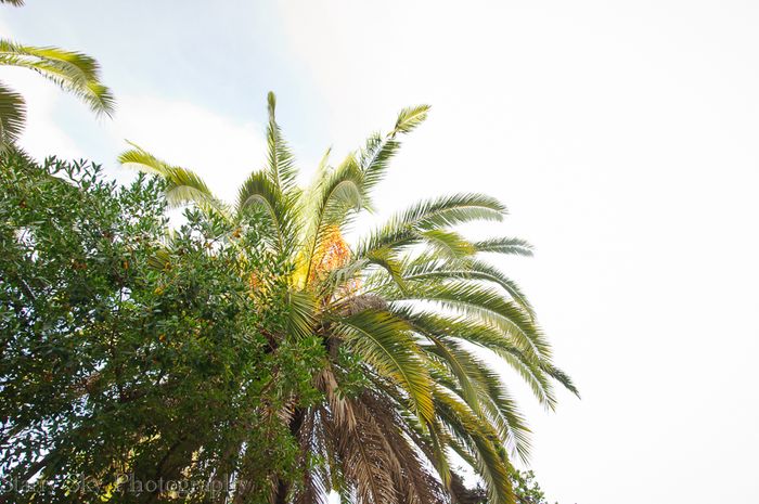 Oct 2013 lisbon day 1 web-5