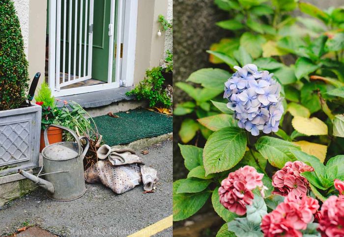 Oct-2013-wales-bulbs-web