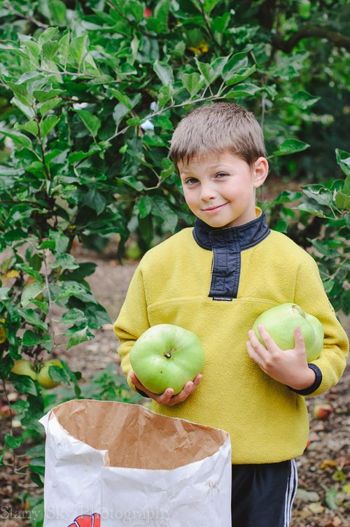 Sept 2013 apples web-3