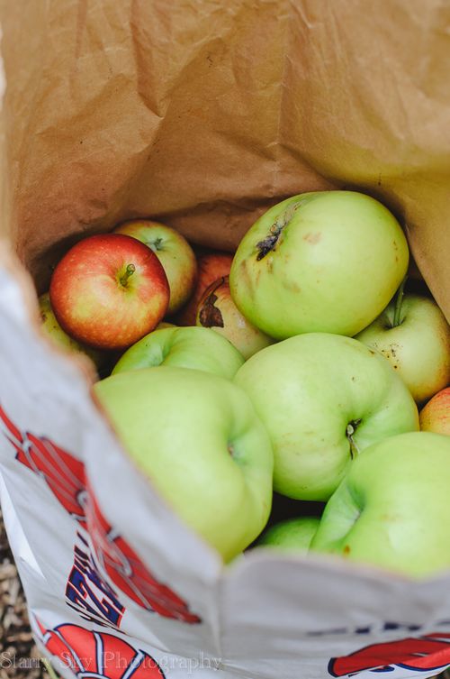 Sept 2013 apples web-4