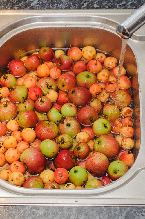 Sept 2013 school web-8