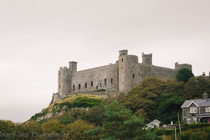 harlech web
