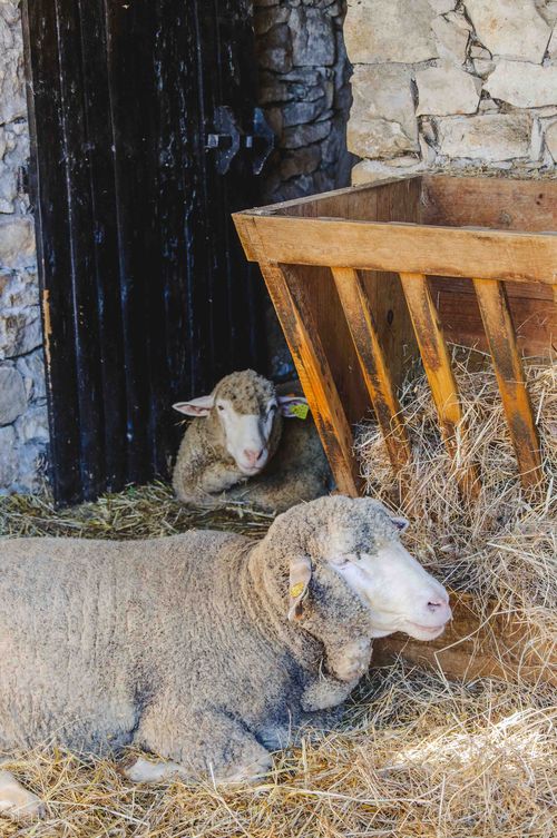 Oct 2013 fatima web-15