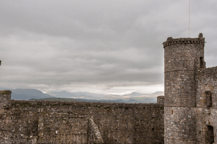 harlech web-20