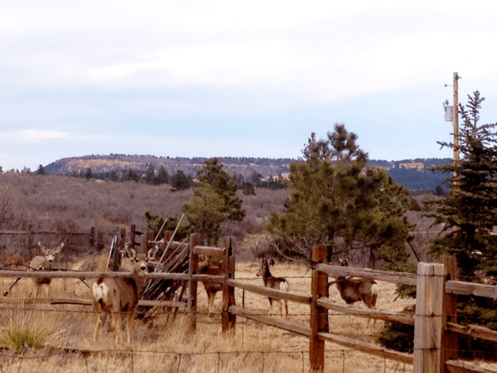 Feb 2014  web (8 of 13)