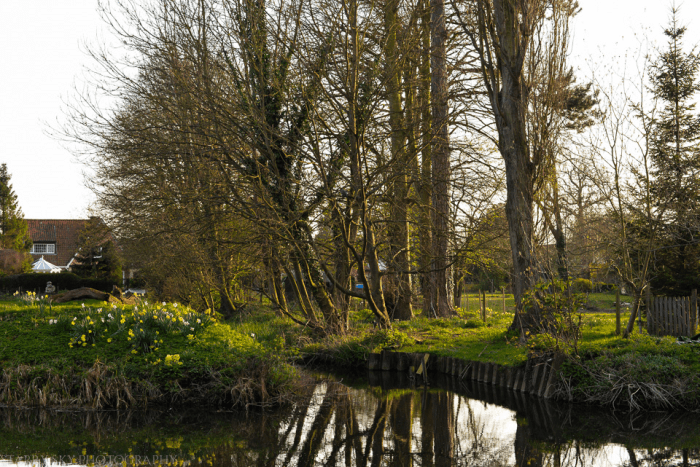 Mar 2014 stream web-8