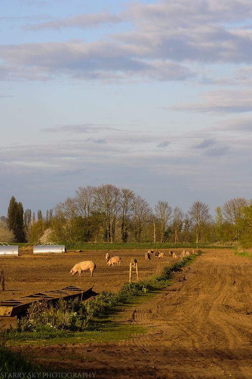 Apr 2014 home web-10