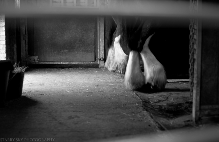 Apr 2014 wimpole bw web-8