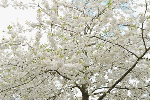 Apr 2014 easter web-6