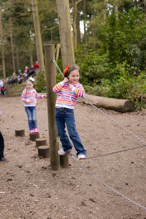 Apr 2014 forest web-5