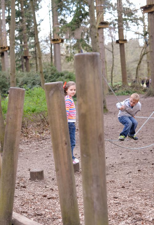 Apr 2014 forest web-3