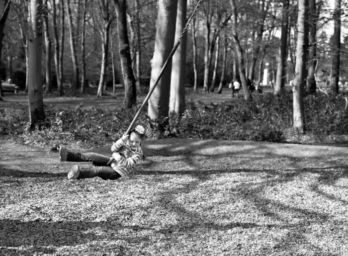 Apr 2014 forest web-50