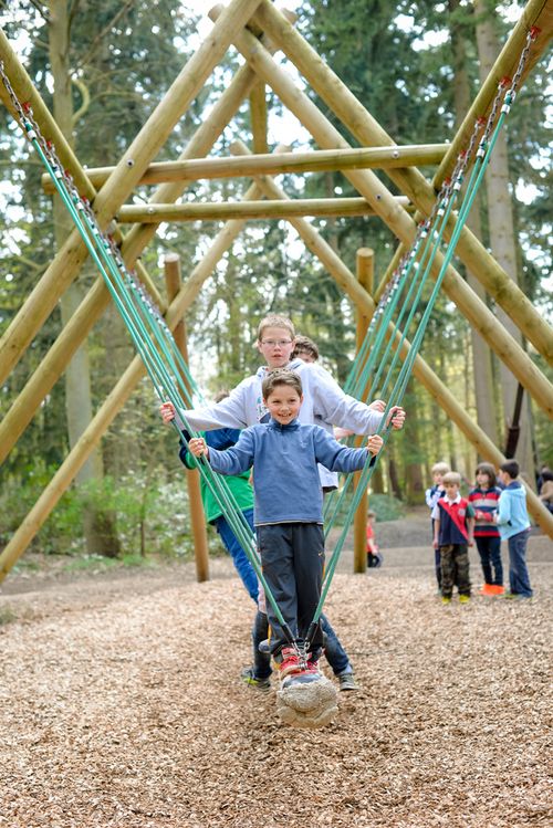 Apr 2014 forest web-22