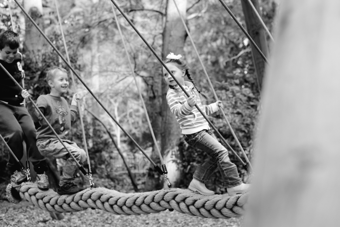 Apr 2014 forest web-60