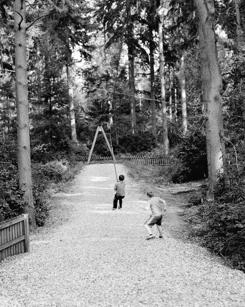 Apr 2014 forest web-64