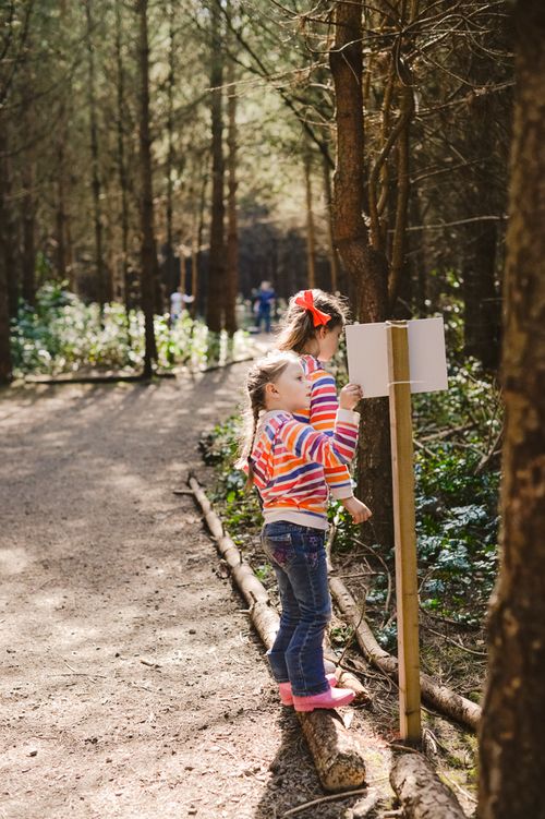 Apr 2014 forest web-38