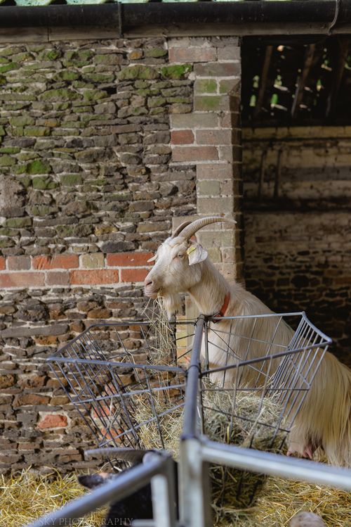 Mar 2014 stowe farm web-13