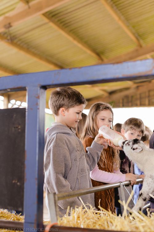 Mar 2014 stowe farm web-19