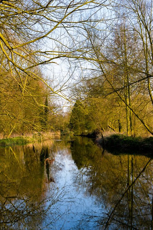 Mar 2014 stream web-7