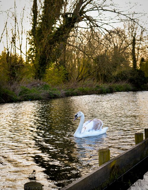 Mar 2014 stream web-6