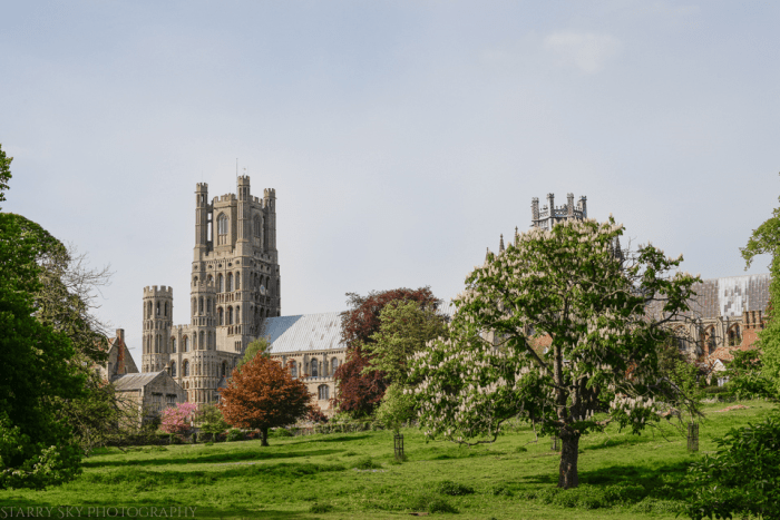 May 2014 ely fest web-9