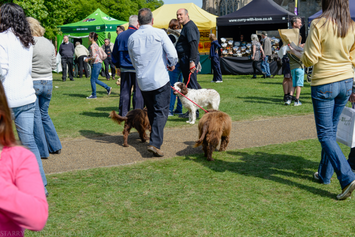 May 2014 ely fest web