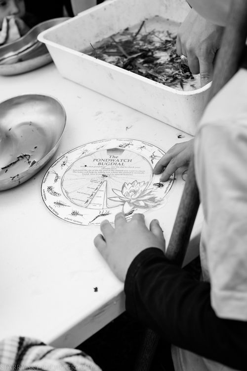 May 2014 pond web-10