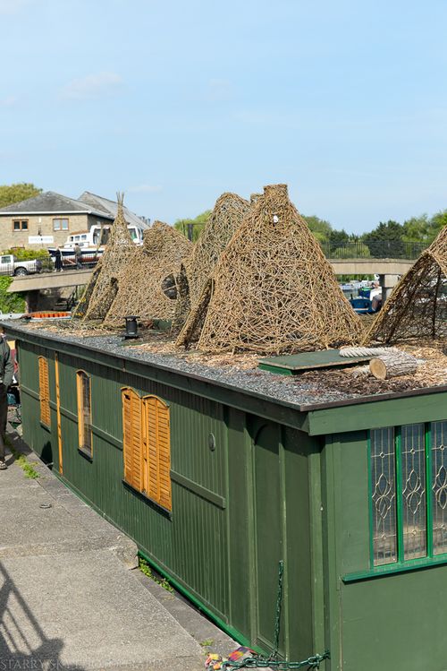 May 2014 ely fest web-7