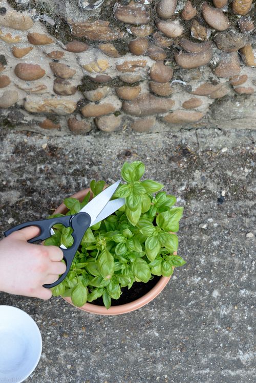 June 2014 summer web (7 of 5)