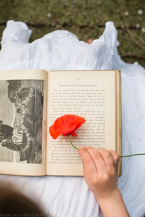 June 2014 poppies web-5