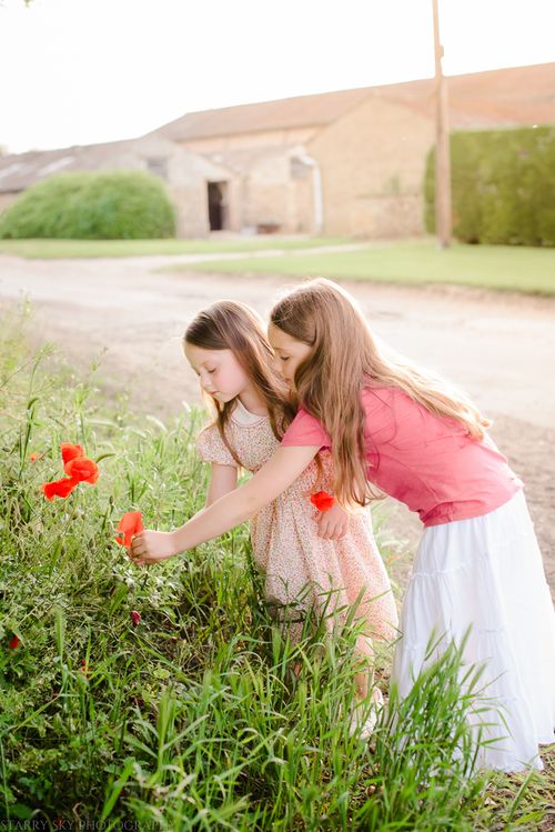 June 2014 poppies web-2