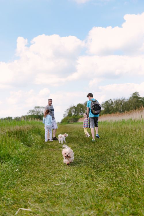 June 2014 fen dog web