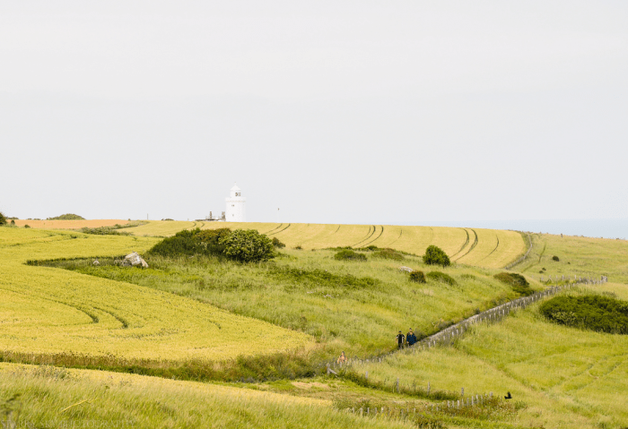 July 2014 dover lighthouse web-12