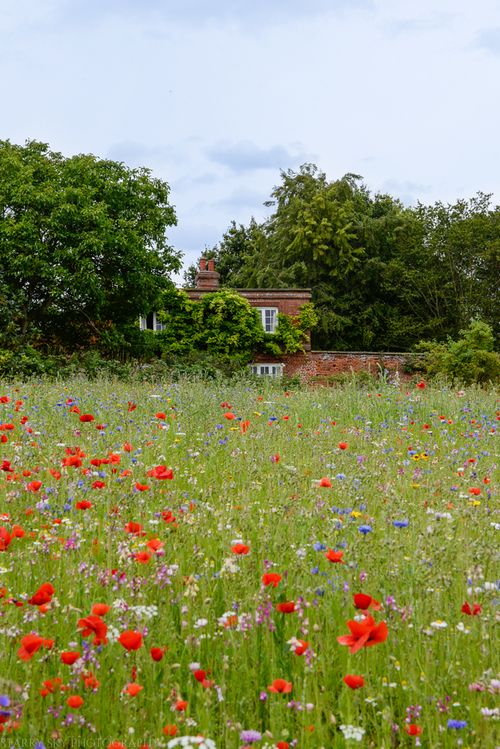 July 2014 cottage web-2