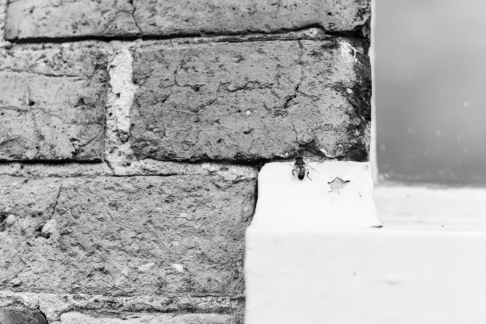 June 2014 workhouse web (8 of 8)