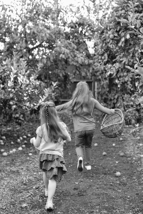 Aug 2014 orchard l web