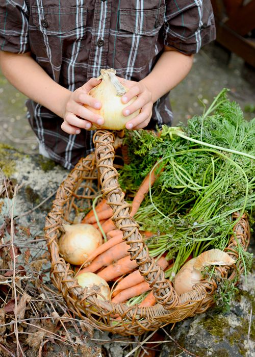 Aug 2014 garden web-7