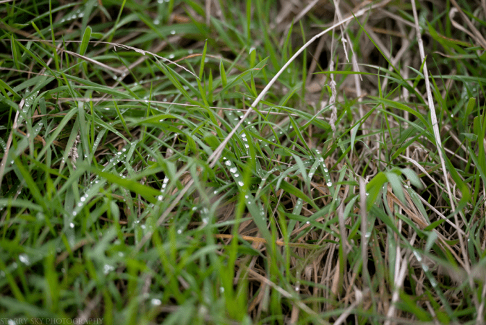 Aug 2014 cabin web-11